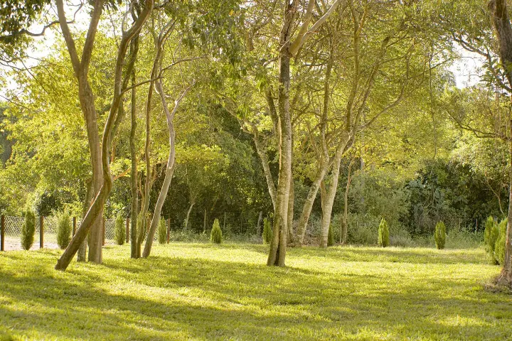 Terrenos en barrio cerrado – Areguá Forest – Desde 360 m²